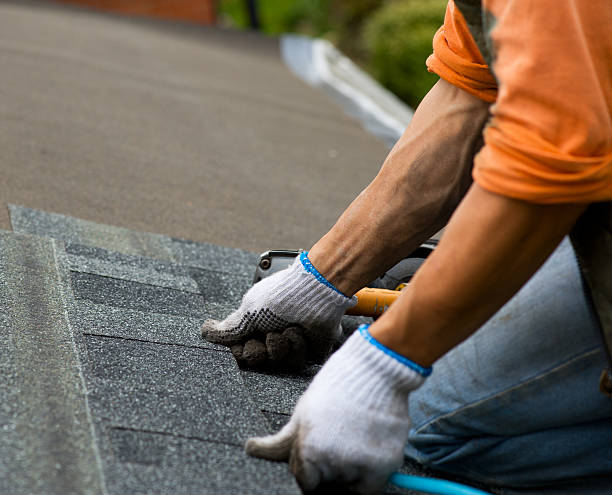 Best Roof Leak Repair  in Fife Heights, WA